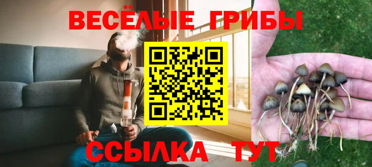 Саранск  Галлюциногенные грибы мухоморы  Галлюциногенные грибы ЛСД  Вход с VPN 