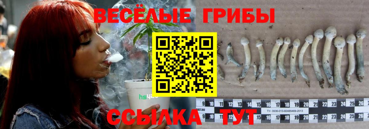 Галлюциногенные грибы прущие грибы Саранск